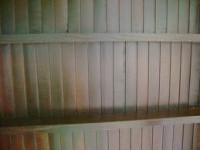 /album/forro-de-cedrinho/forro-de-cedrinho-3-jpg/